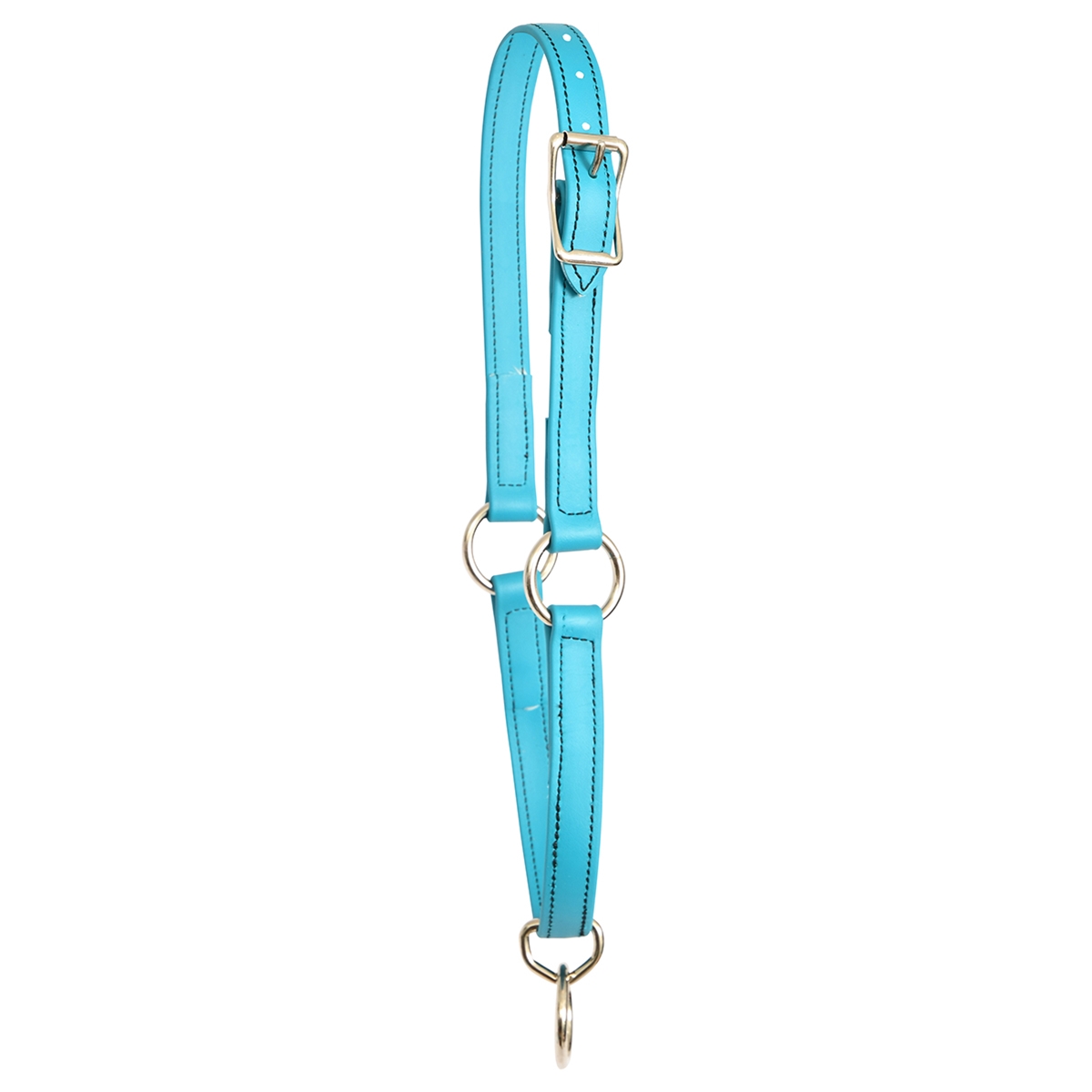 Two Horse Tack ****PHOTO SAMPLE*** 10 Aqua Blue Beta Biothane Picket