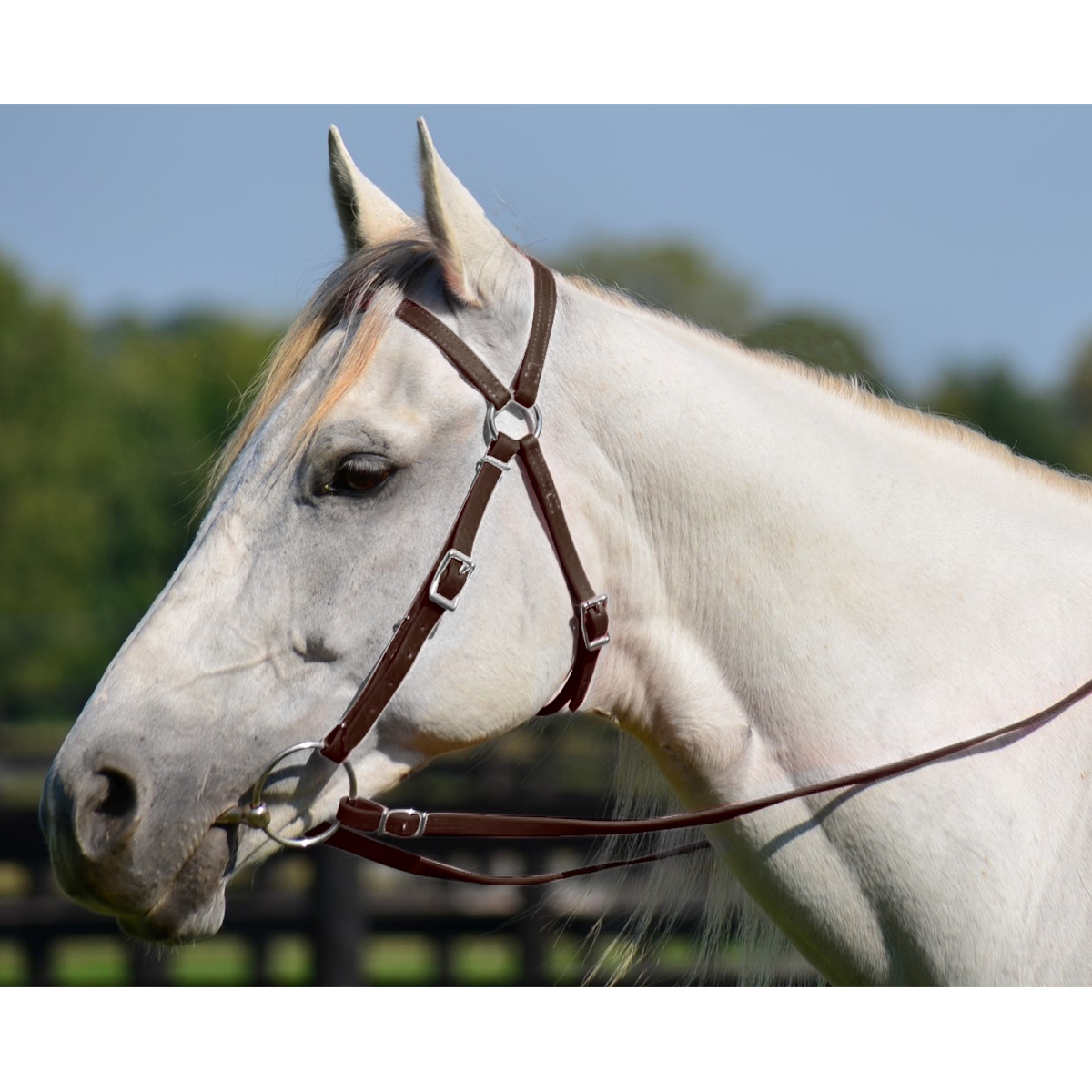 AUSTRALIAN OUTRIDER COLLECTION LEATHER HALTER/BRIDLE COMBO FULL - BROWN