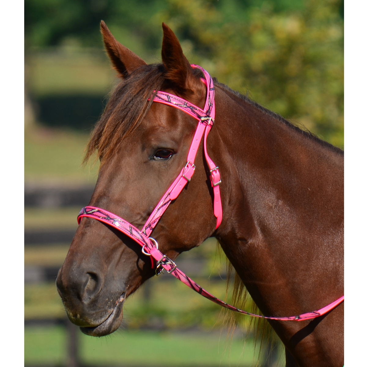 2 In 1 Bitless Bridle With Camouflage Biothane