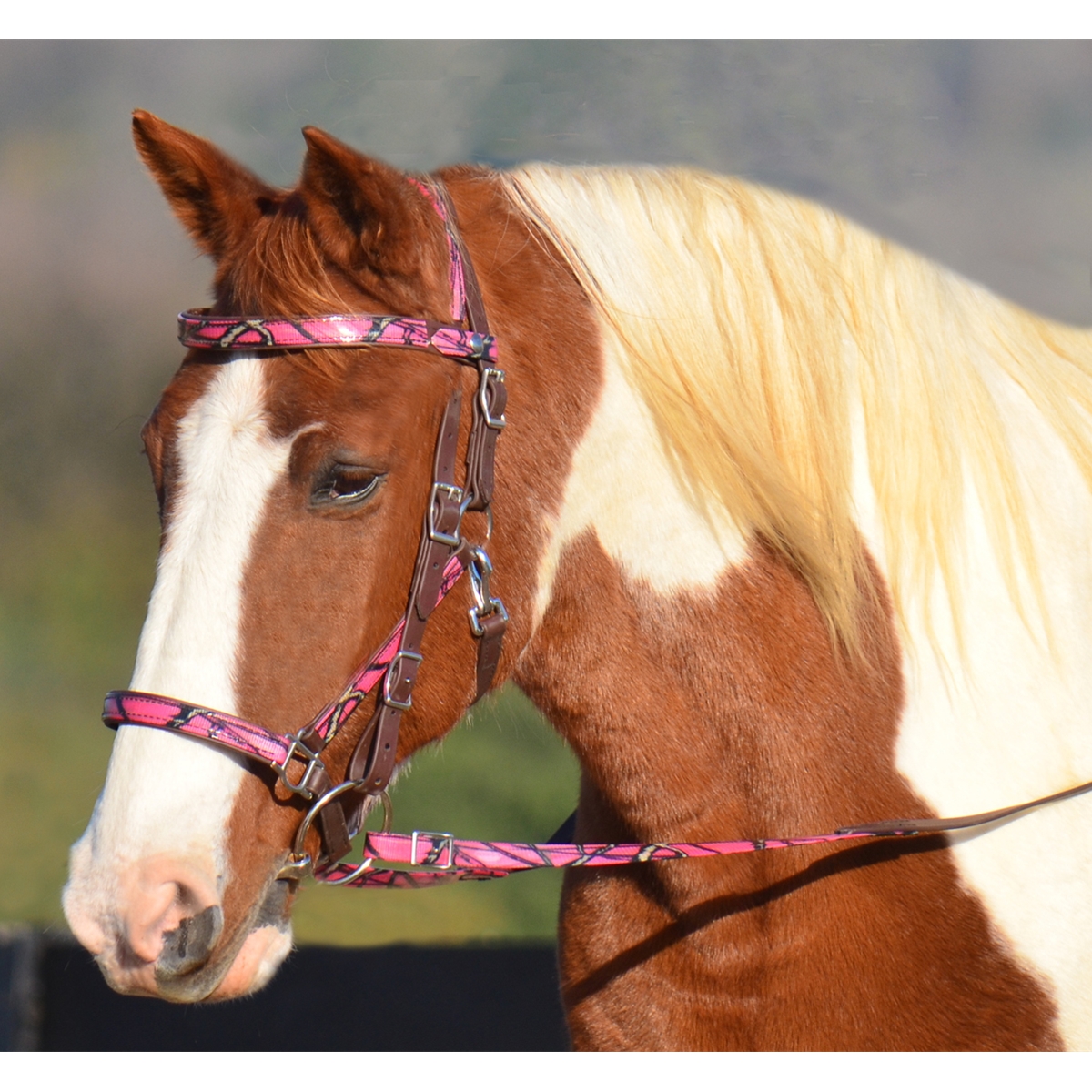 CAMOUFLAGE Quick Change Halter Bridle with Snap on Browband