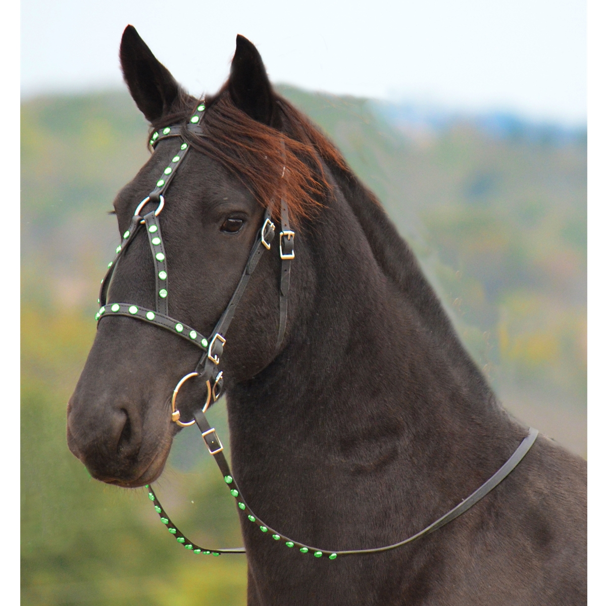 Medieval Horse Costume Tack