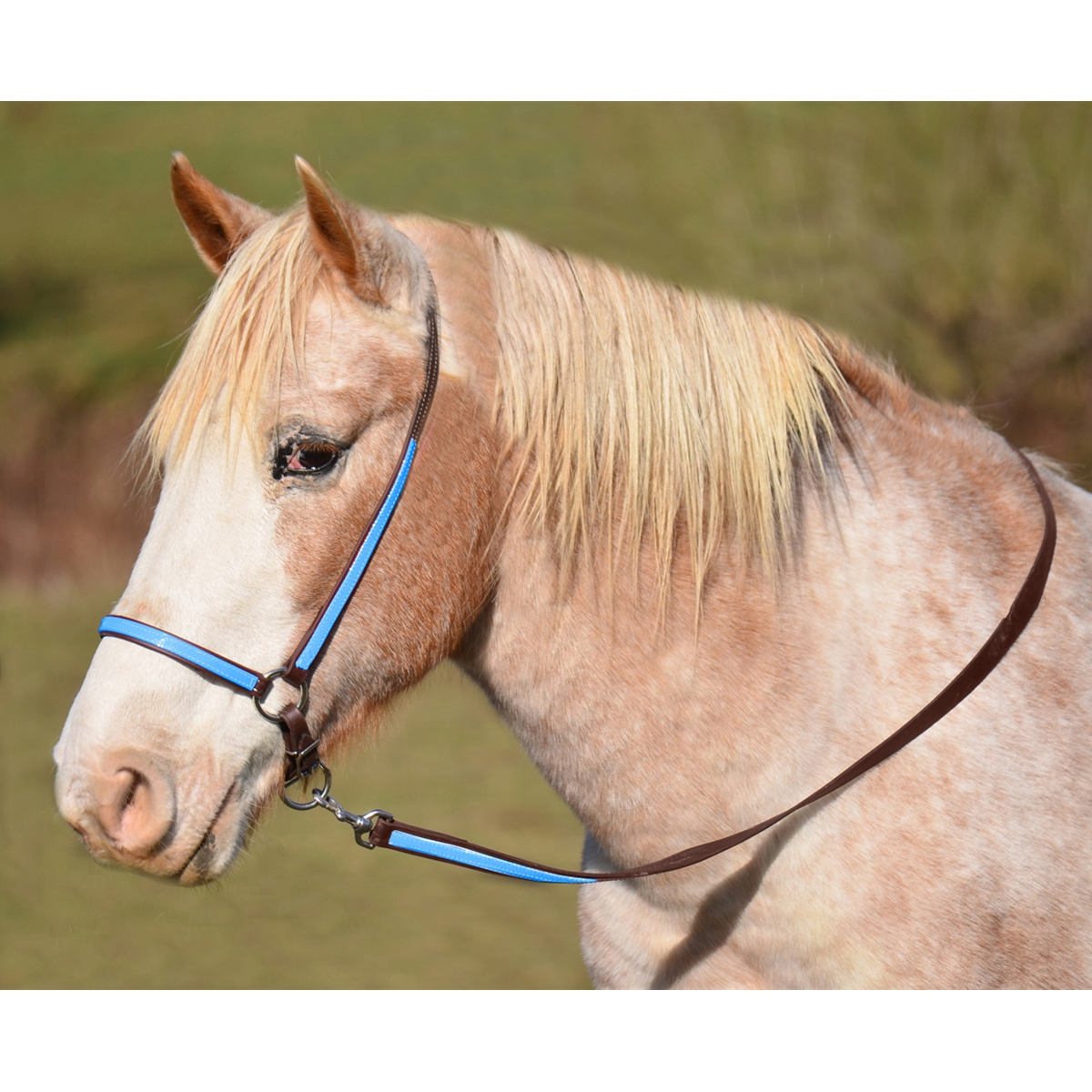 Showman Beaded Chevron Nose Cowboy Knot Rope Halter With 7' Lead – Nylon