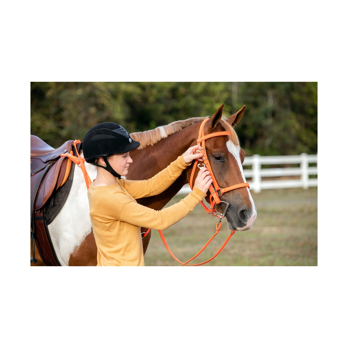 Order Orange Halter Bridle with Bit Hangers Only at Two Horse Tack