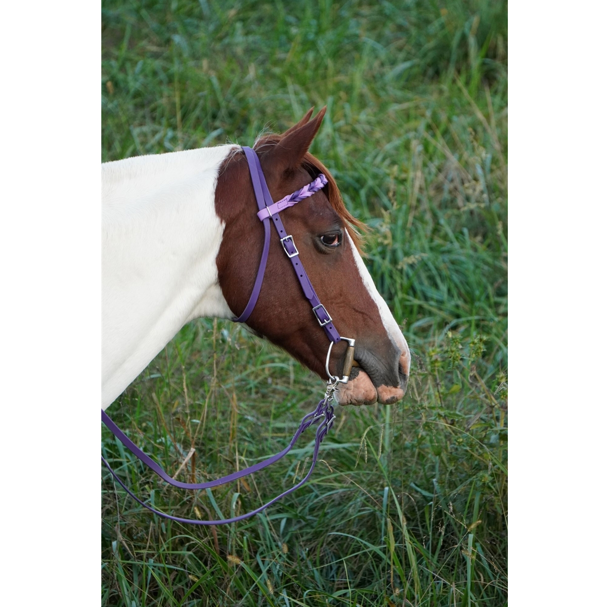 Braided Browband for your bridle!
