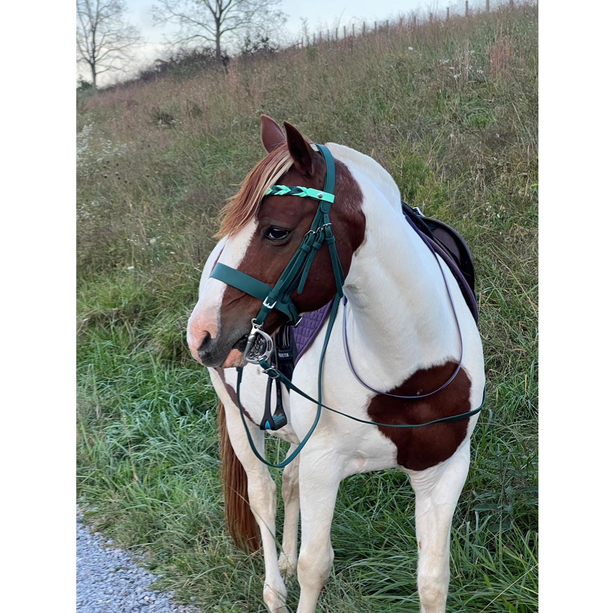Braided Snap On Browband for your bridle!