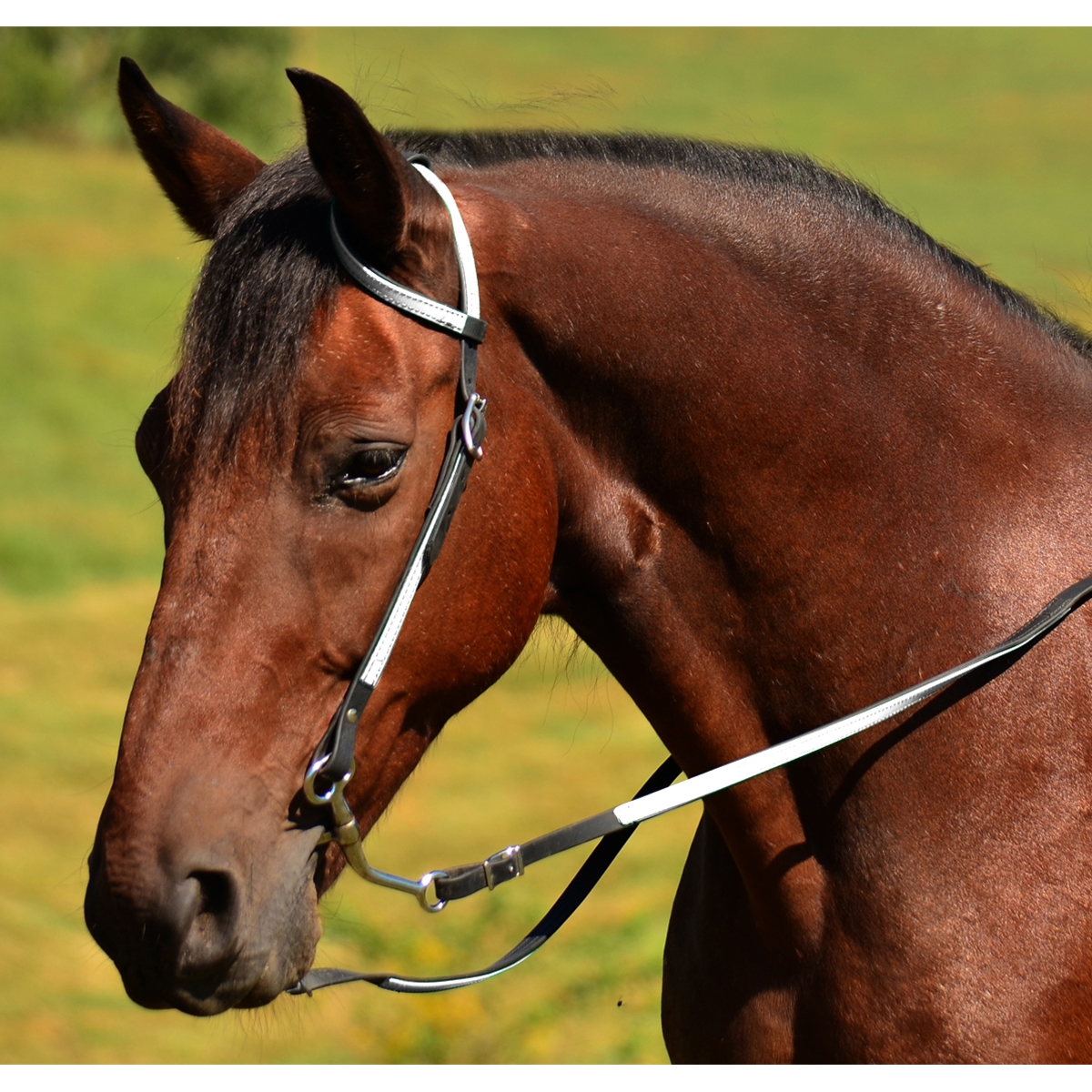 HILASON Western Horse Tack Set In Biothane Leather - Includes Headstall & Breast Collar, Stainless Steel Hardware, Red Color