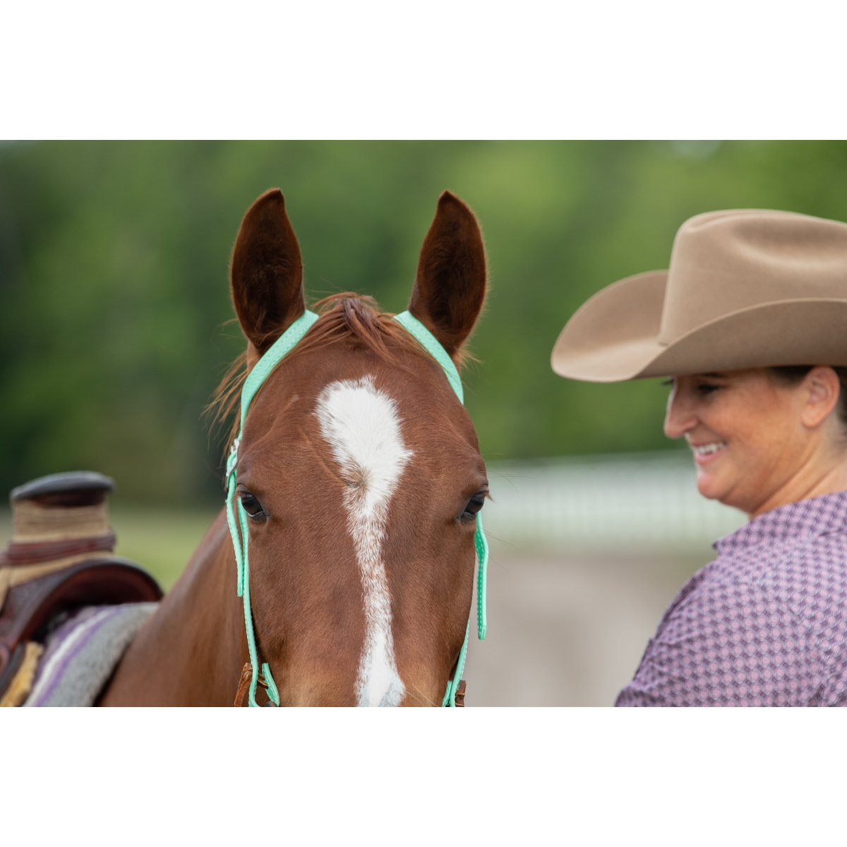 Weaver Flat Bridle Leather Curb Strap Brown