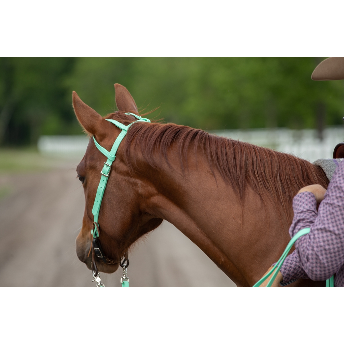 Affordable Nylon Earloop Western Horse Headstalls Quality Horse Tack Quality 