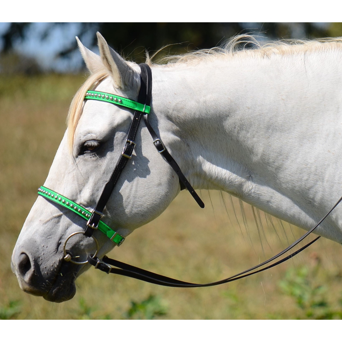 Pony cob Horse Bridle Biothane English Bridle With Reins Full 