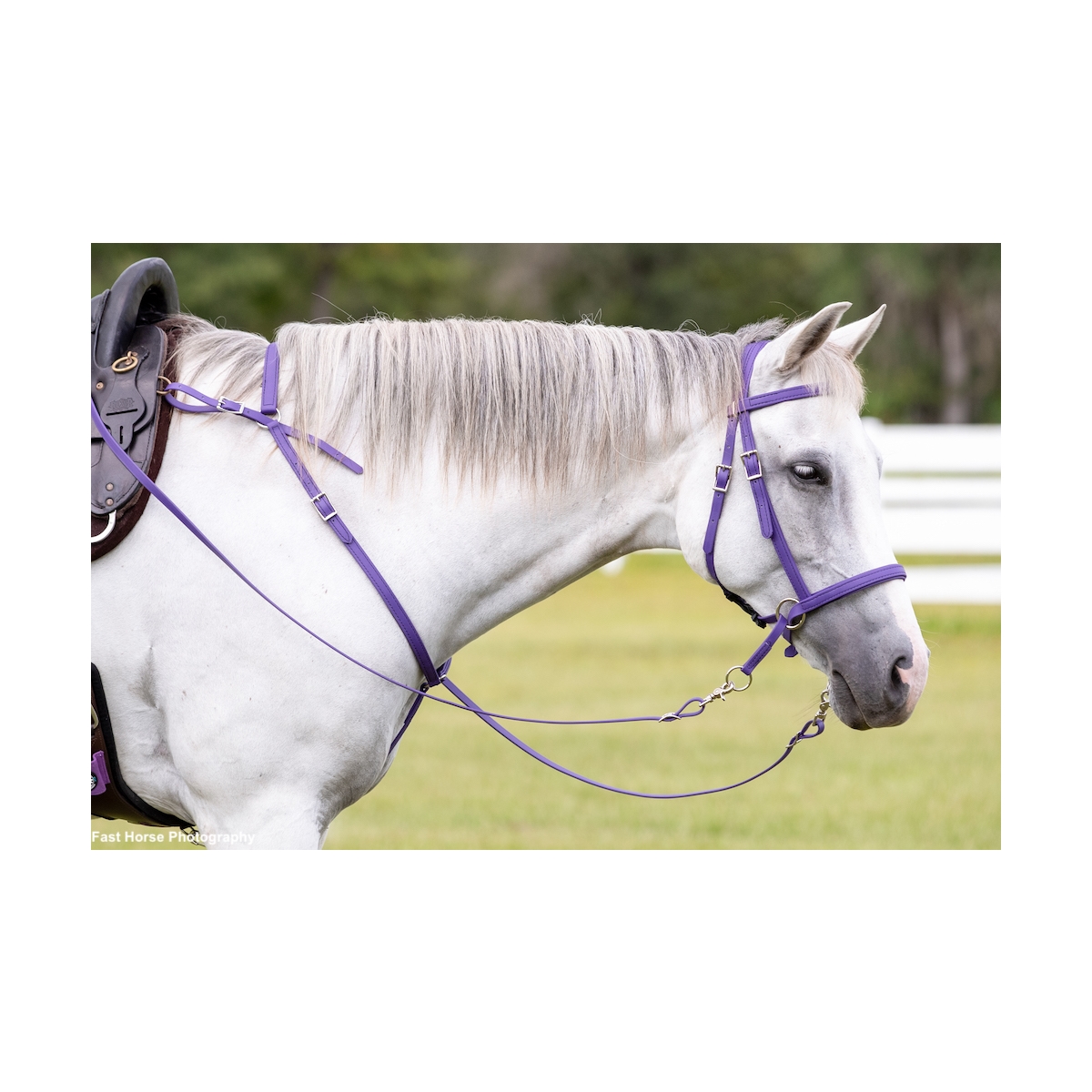 Scrawbrig Bitless Bridle Made From Beta Biothane Solid Colored