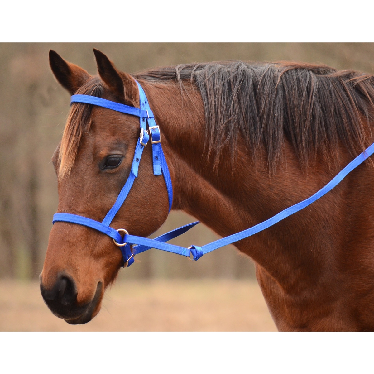 Bitless English Bridle For Horses - Western Crossover Headstall With Reins