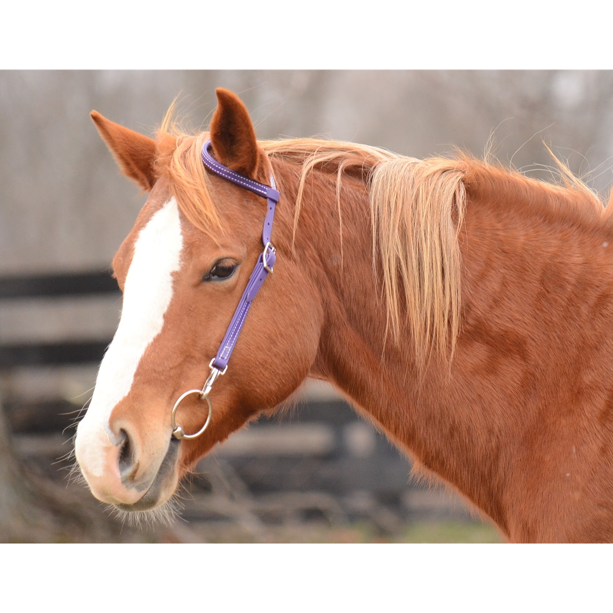discount tack