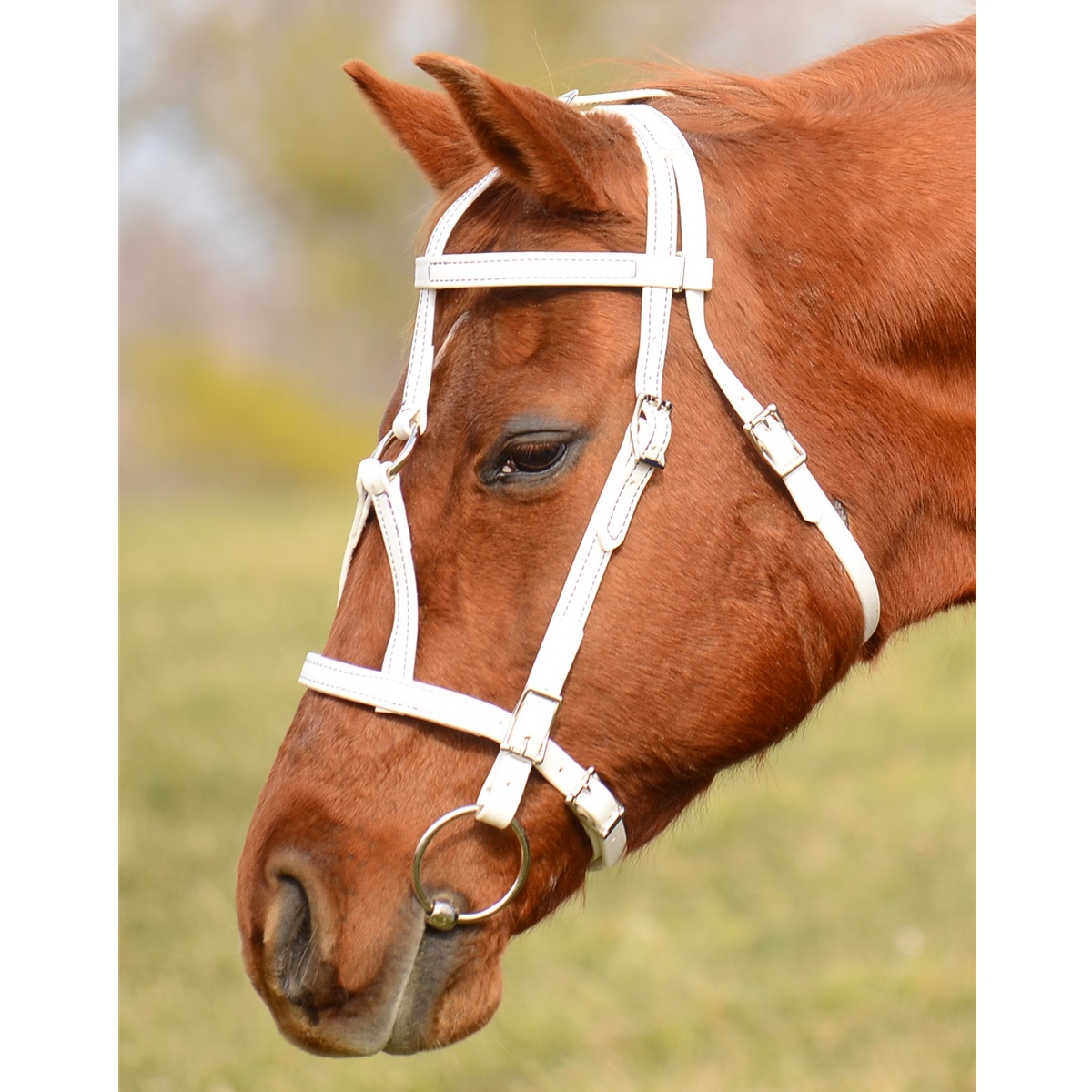 discount tack