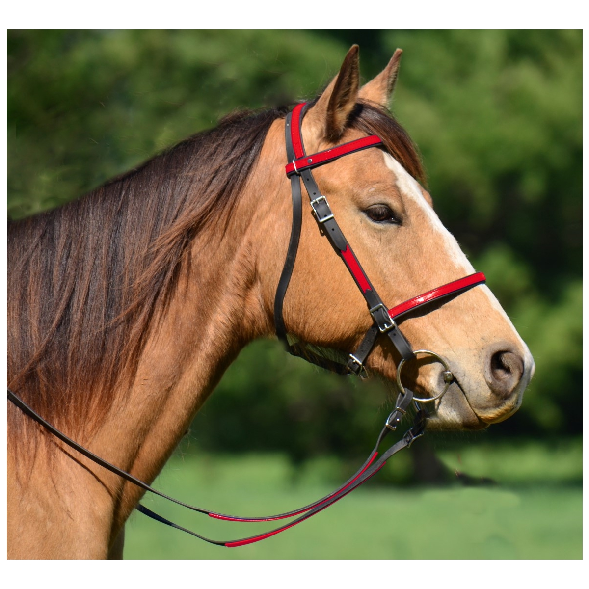 BETA BIOTHANE with OVERLAY Picnic or Simple Halter Bridle