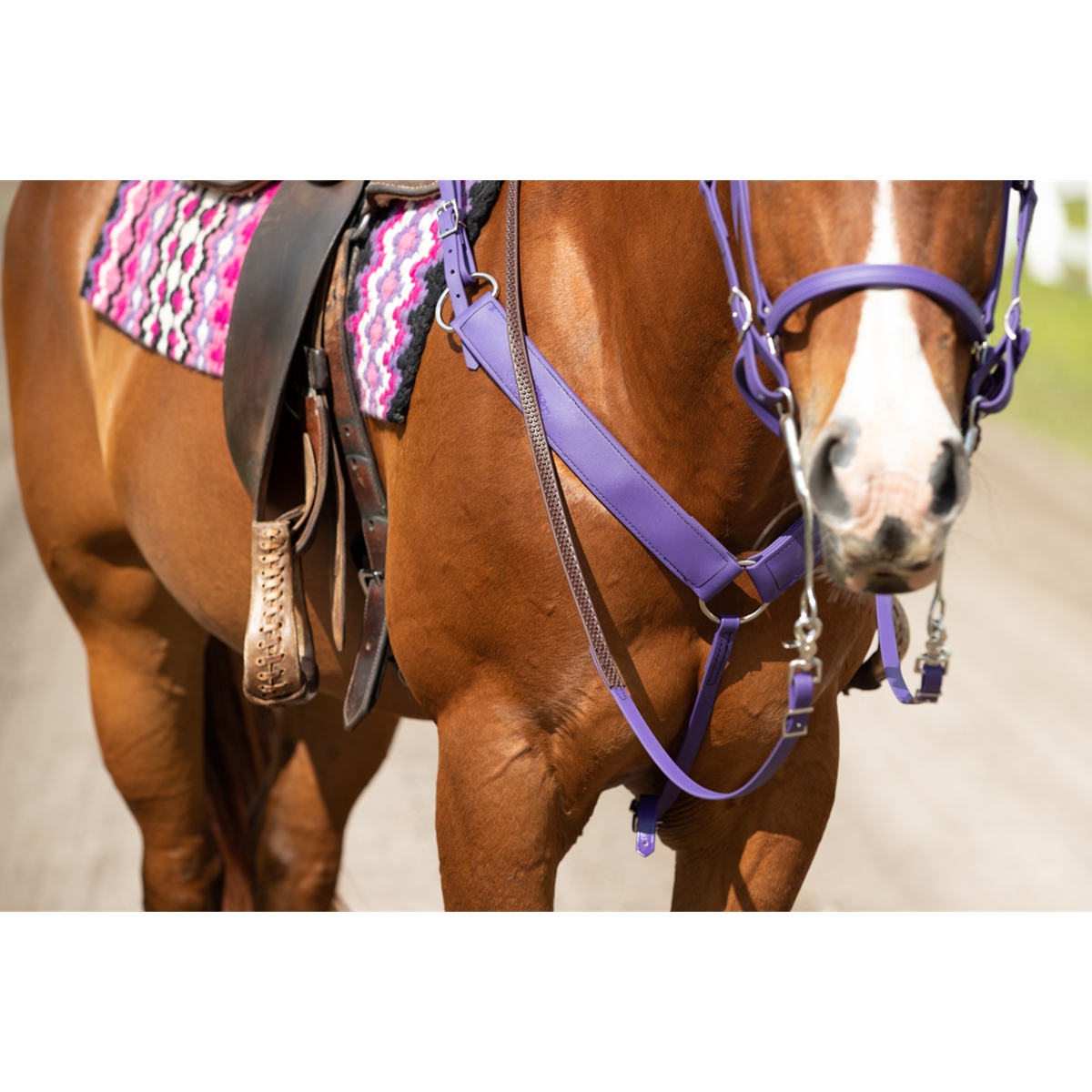 BETA BIOTHANE 2 Inch Western Breast Collar