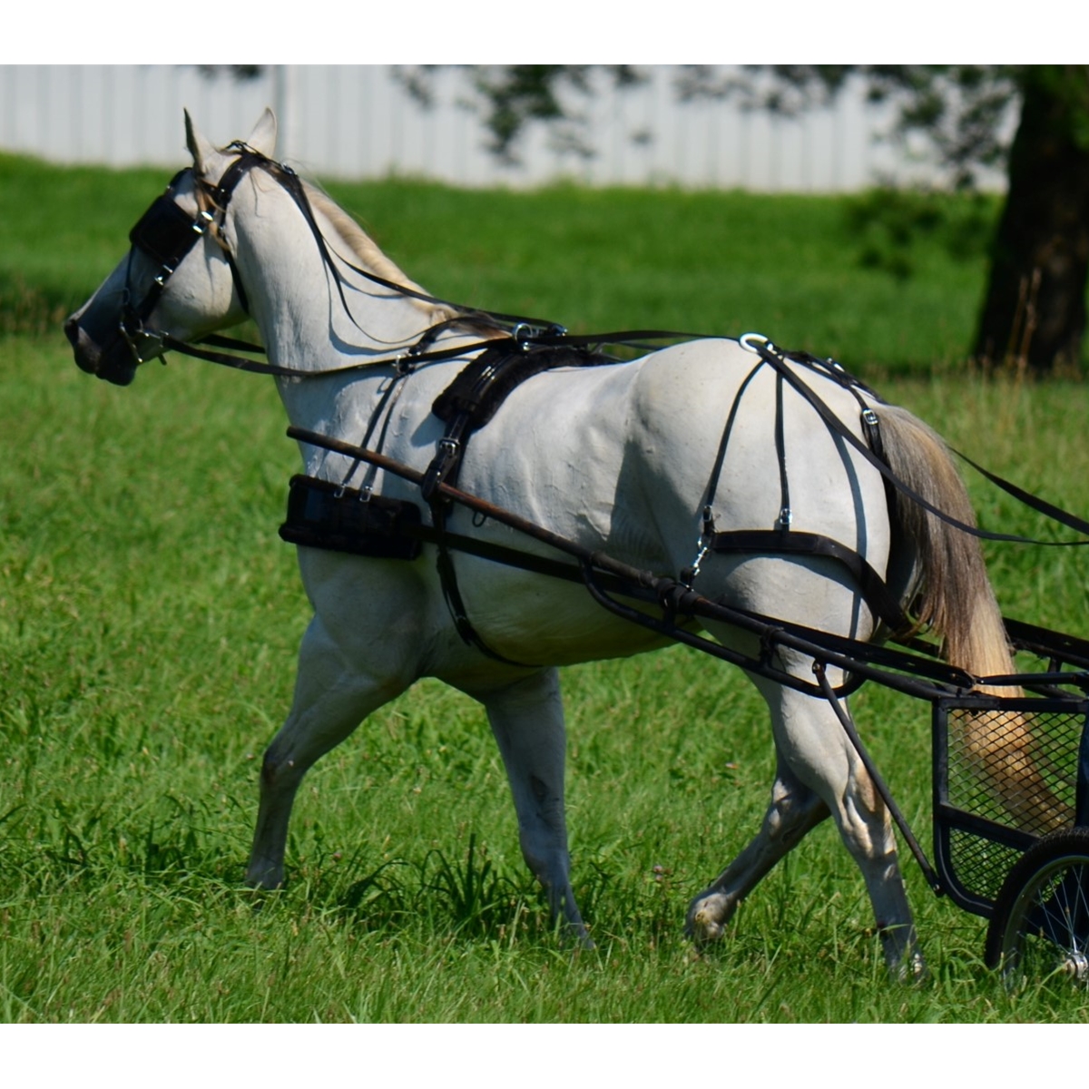 SYNTHETIC NYLON HORSE DRIVING CART HARNESS TWOTONE POPULAR HARNESS FULL COB PONY