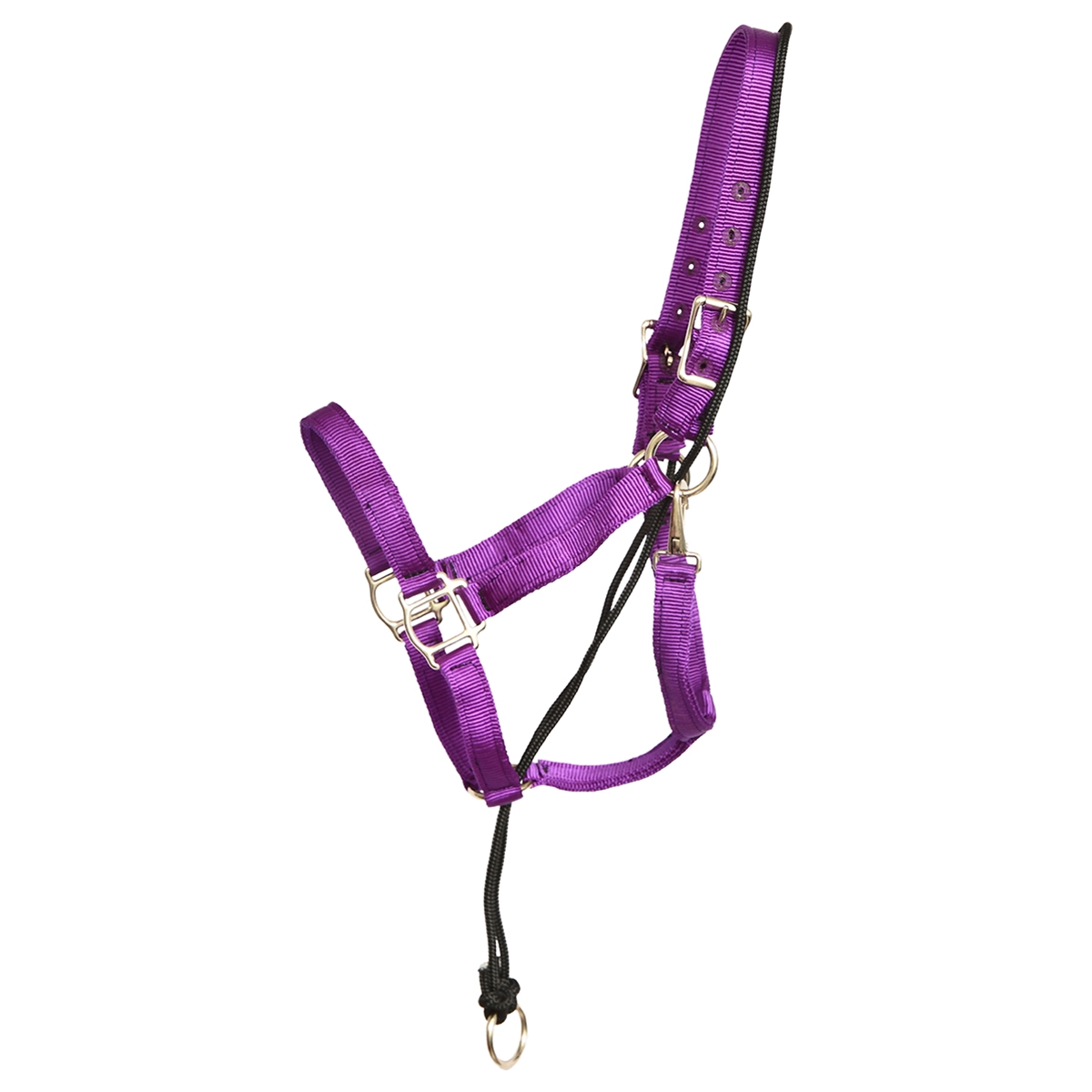 Basic Pull Back Training Halter For Horses - 3-Ply Nylon With Anti-Pull Design, Average Horse Size