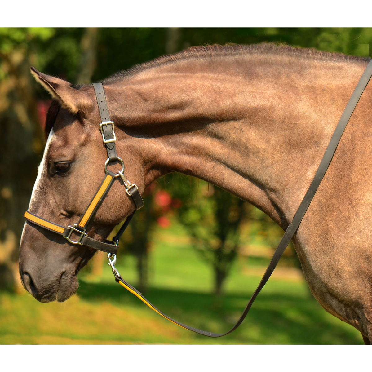 Tough 1 I Love My Horse Halter