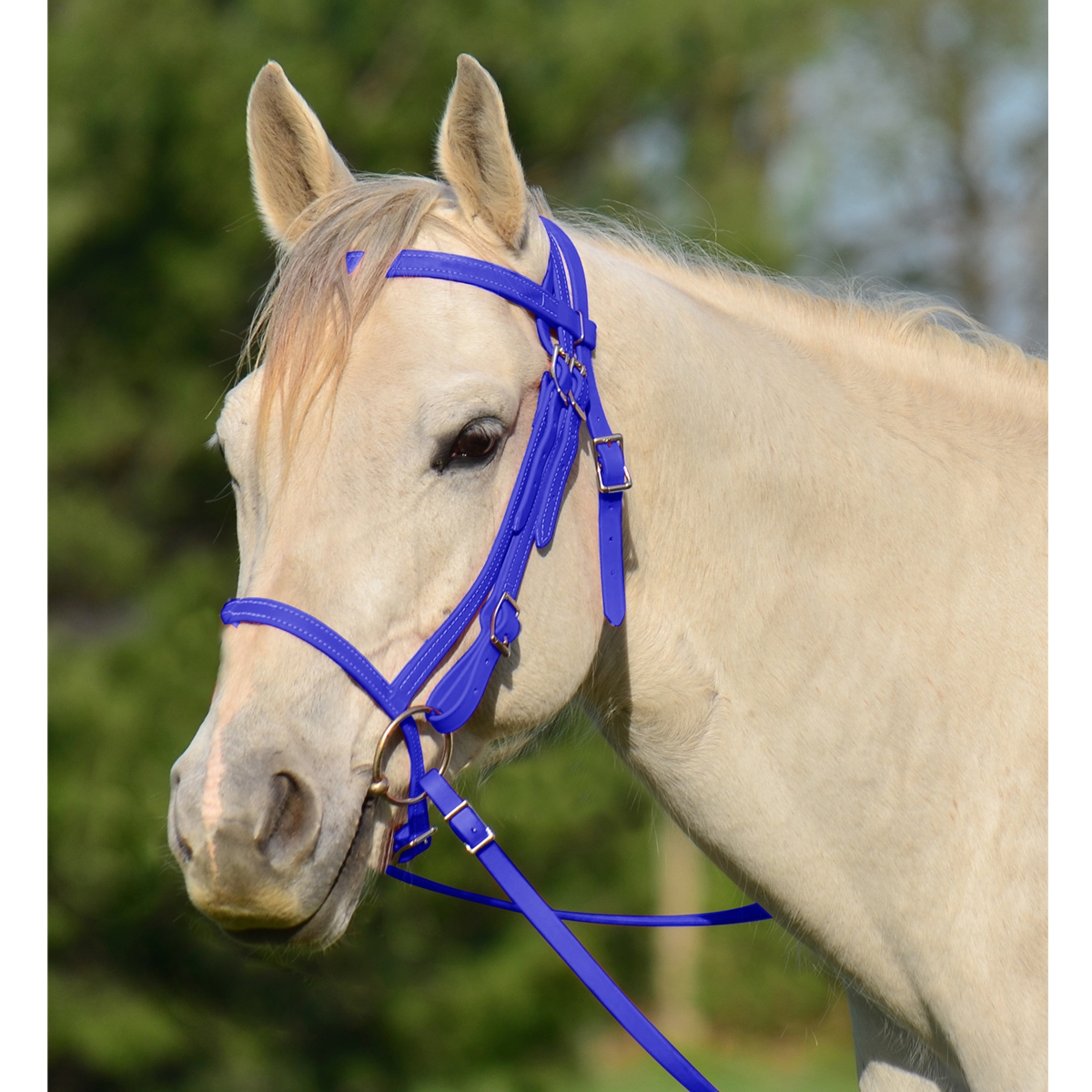 Shop English Bridle with Cavesson for Horses Online Two Horse Tack