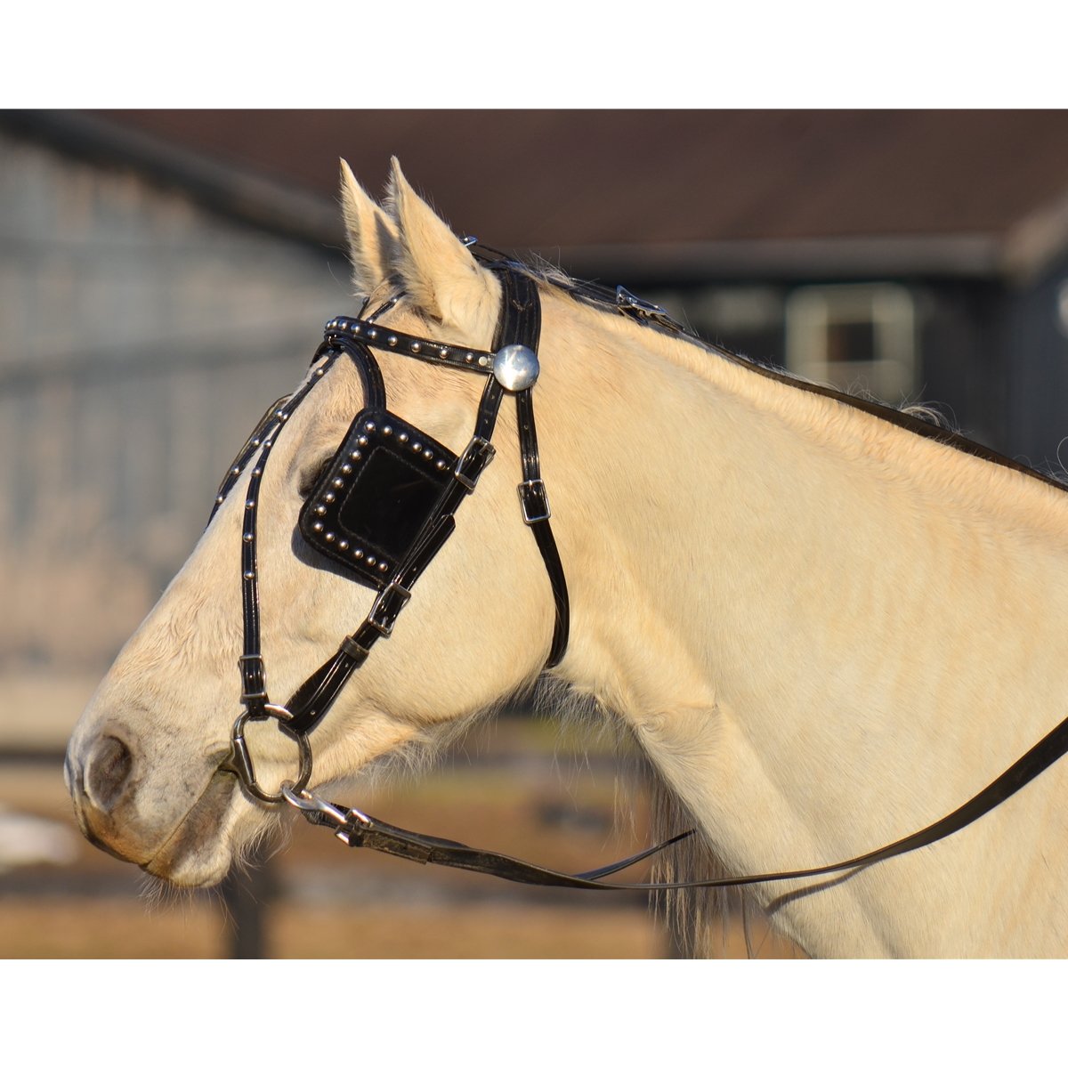 Large horsehair brush - Dorantes Harness