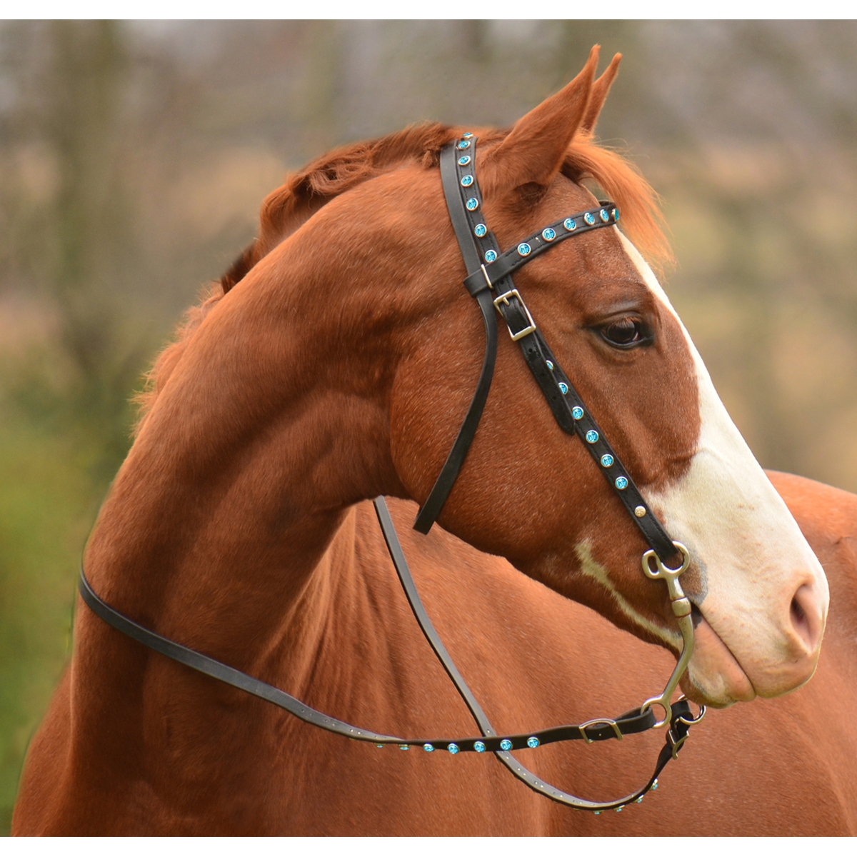 Western Dark Brownleather Tack Set of Headstall and Breast 