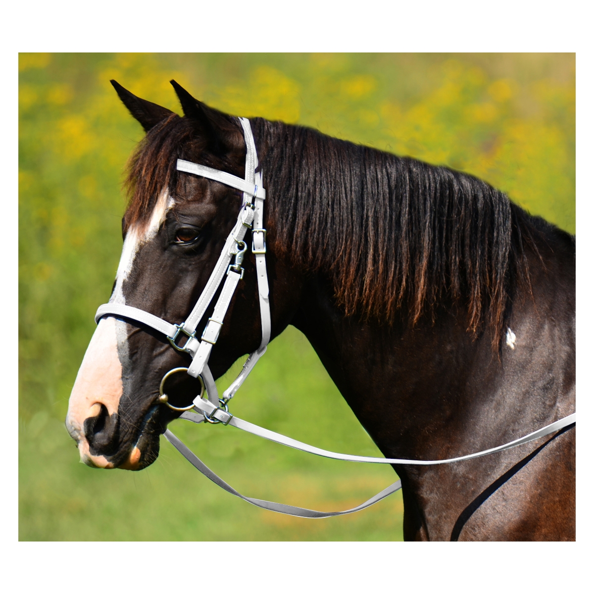 Buy White Traditional Halter Bridle with Bit Hangers at Two Horse Tack