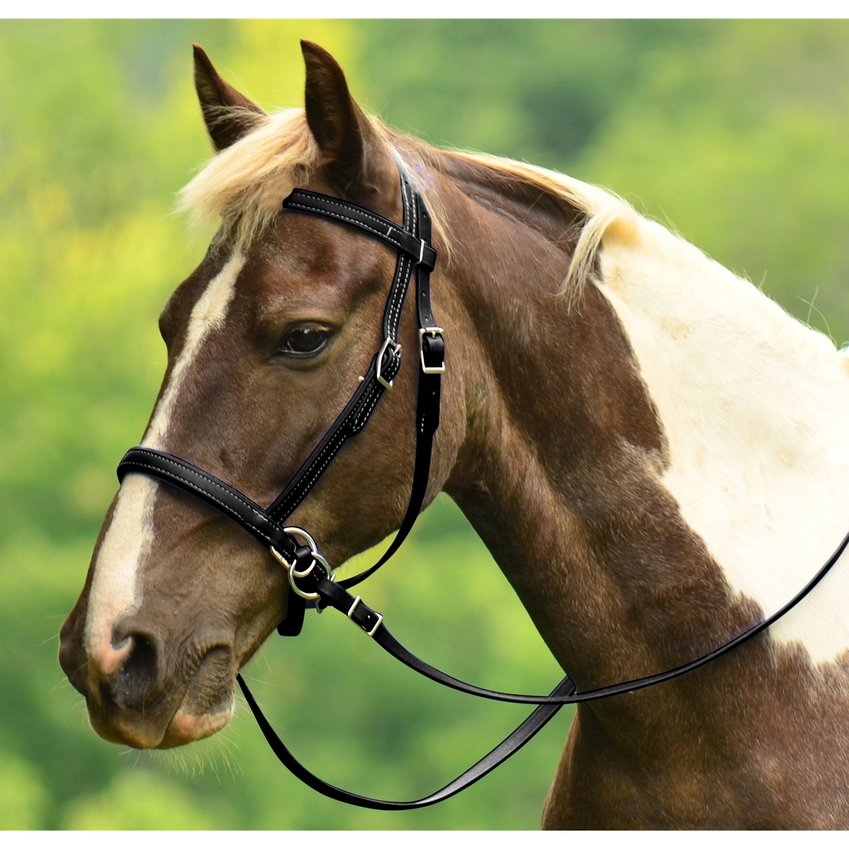 Nalanta bitless bridle by Jesse Drent Nalanta Equipment