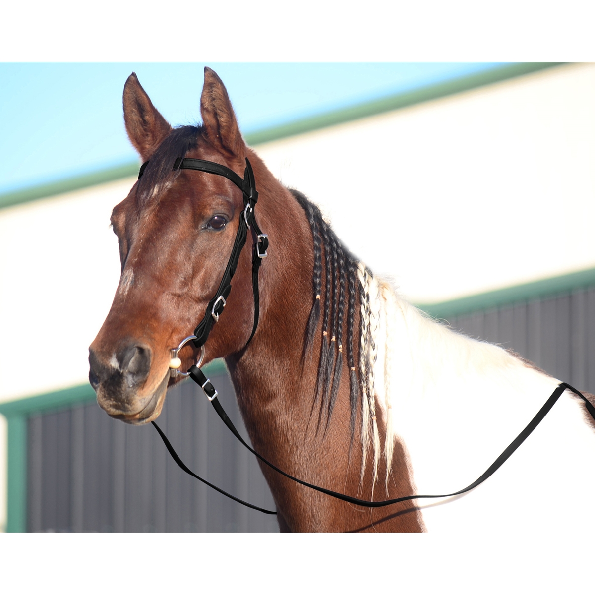 Horse Bridle: Black Western Bridle