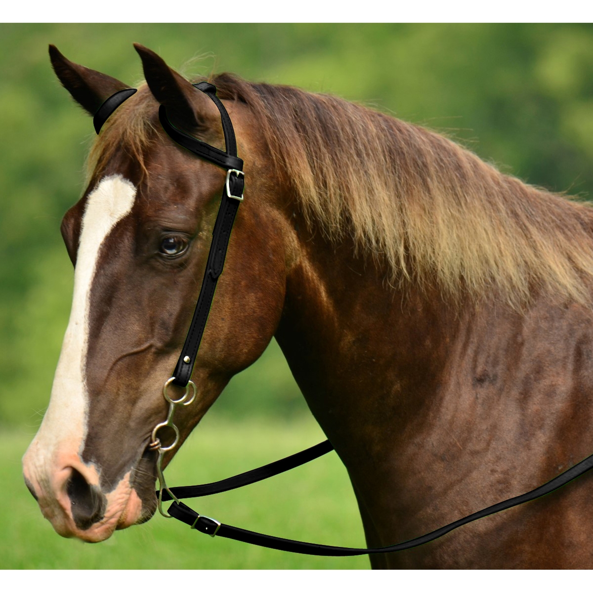 Western Bridle One Ear