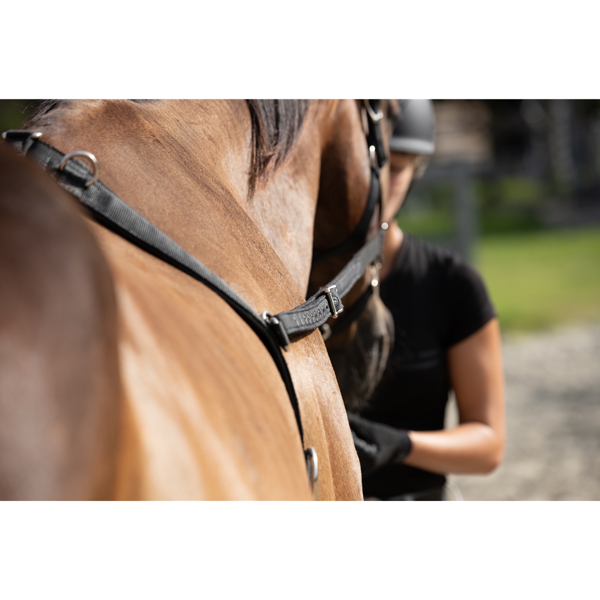 Animal Farmacy Nylon Side Reins With Elastic Clips – Adjustable For Training Lunging Horses