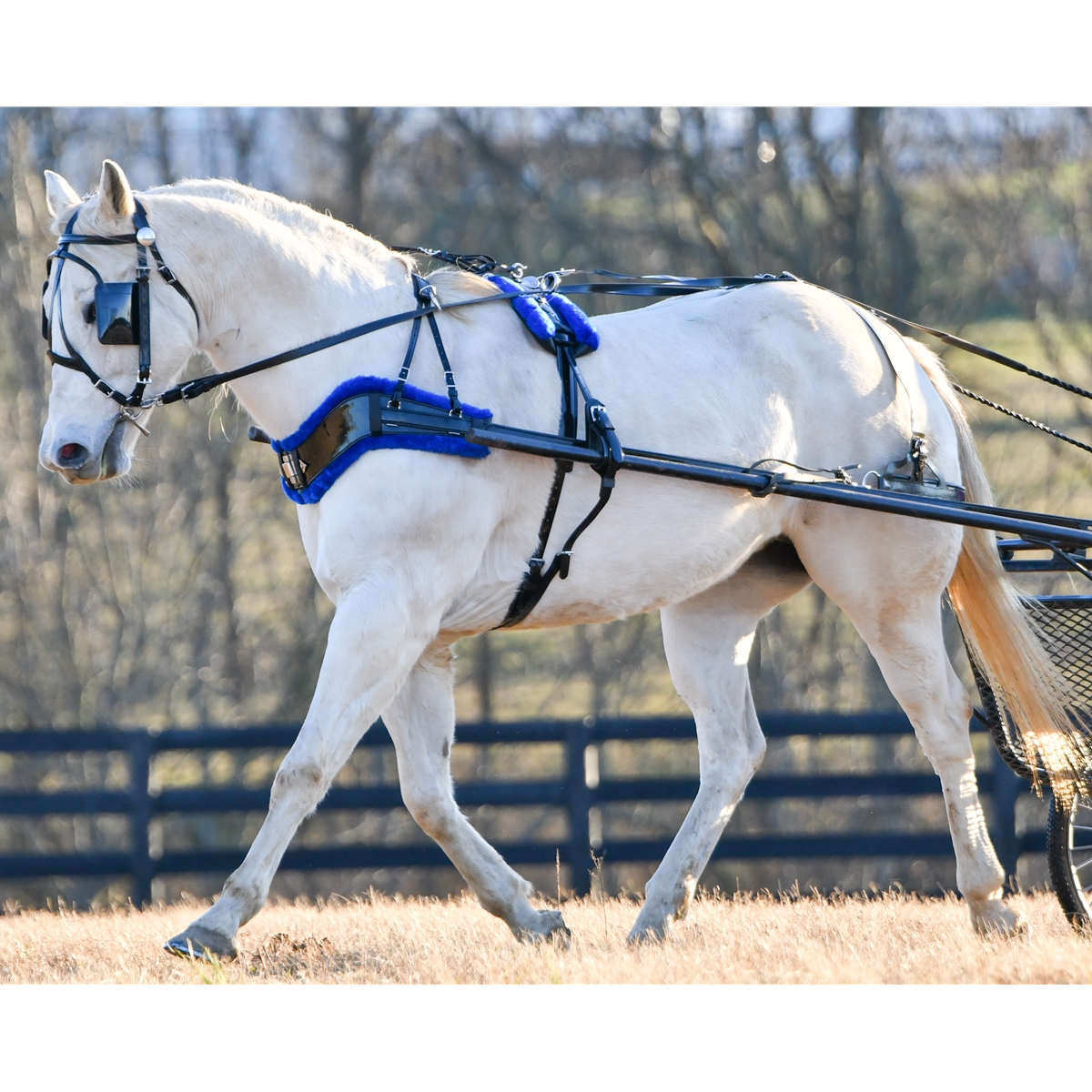 Tough 1 Miniature Horse Bio Thane Driving Harness - Black, Strong & Easy To Maintain, Size: Miniature Horse