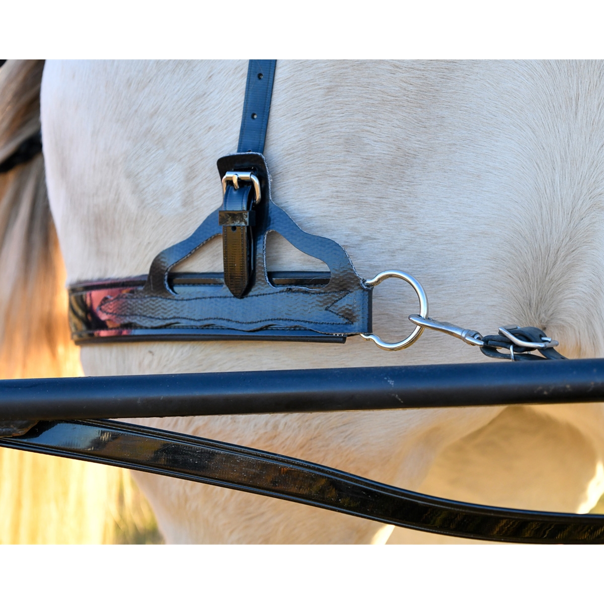 Two Horse Tack’s Light Marathon Harness Made From Beta Biothane