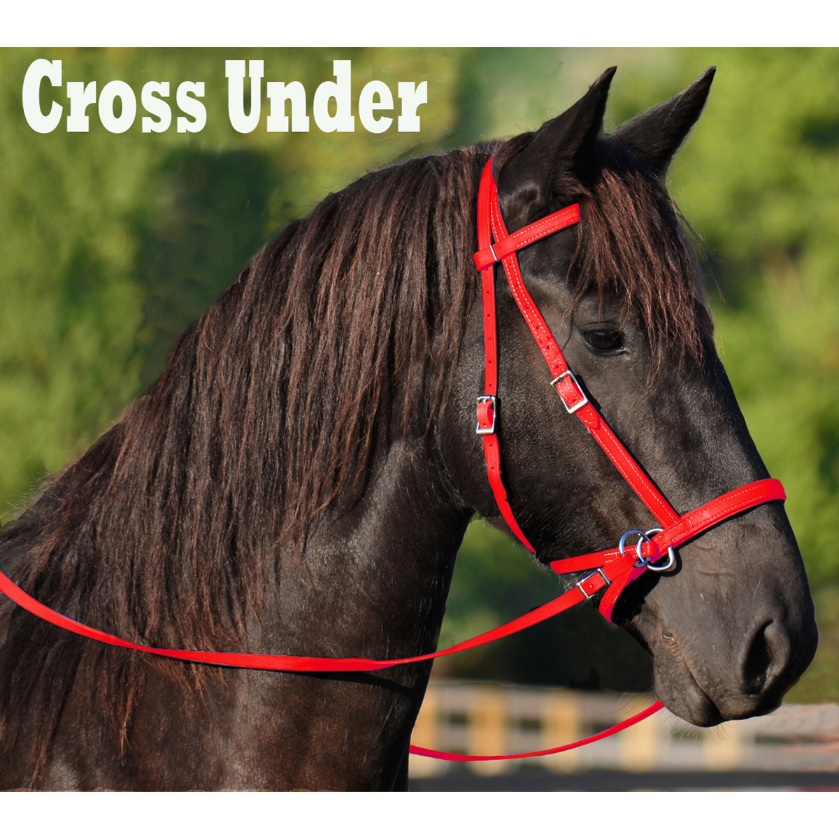 Buy Bitless Bridles for Horses on Two Horse Tack