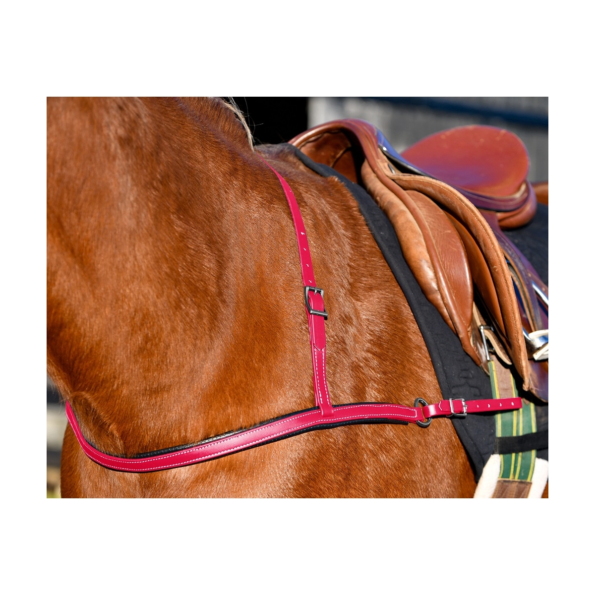 Jumping English Breast Collar made from Beta Biothane with Neoprene Padding-  Two Horse Tack