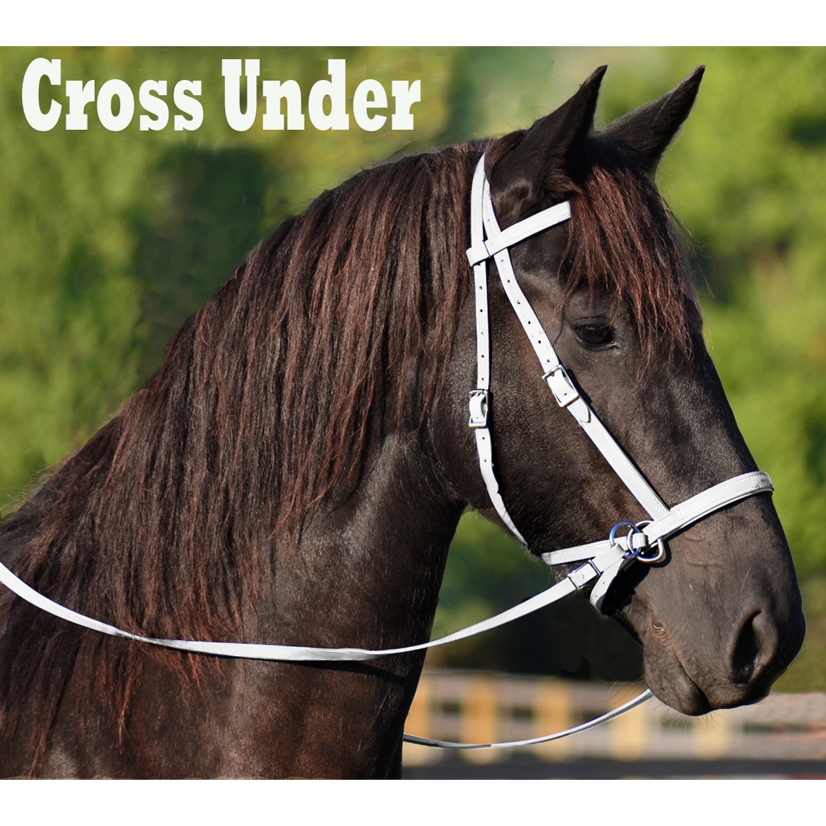 Bitless Bridle Bitless Bridles Kramer Equestrian