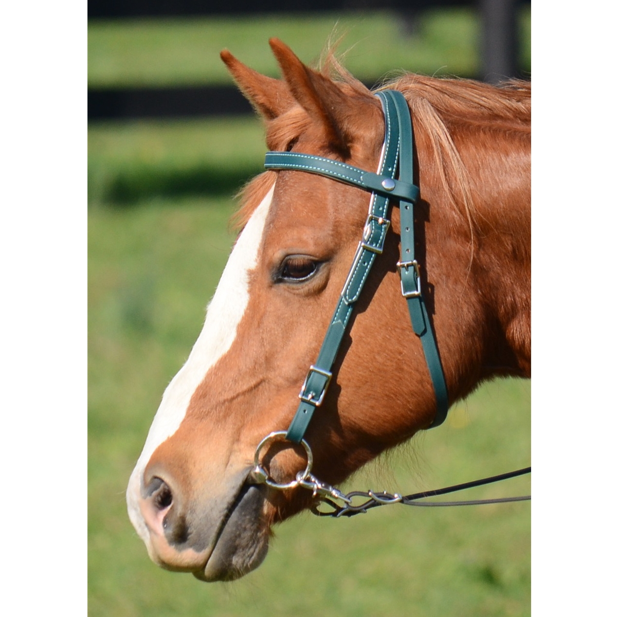 Weaver Leather Browband Bridle with Single Cheek Buckle