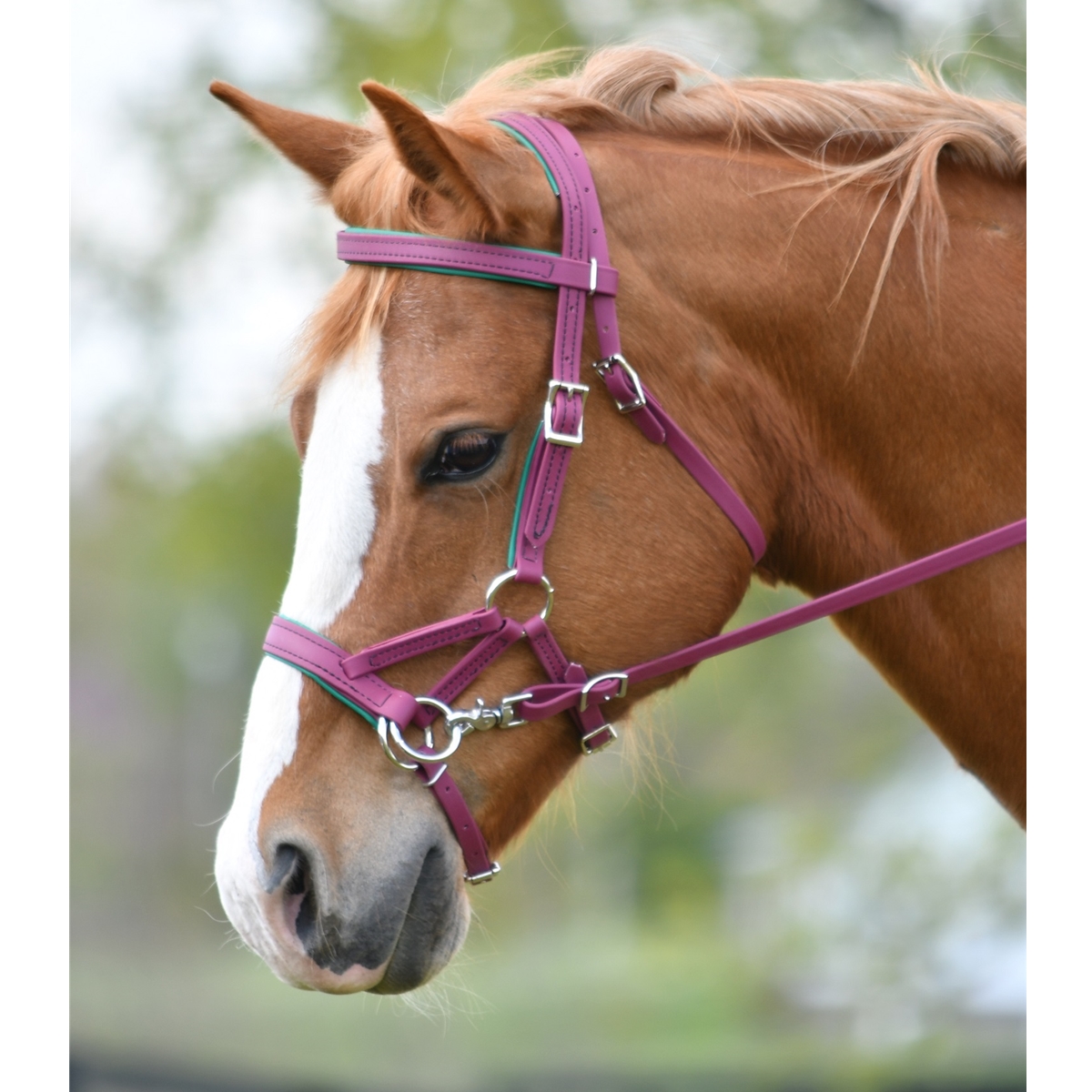 Side pull bridle deals