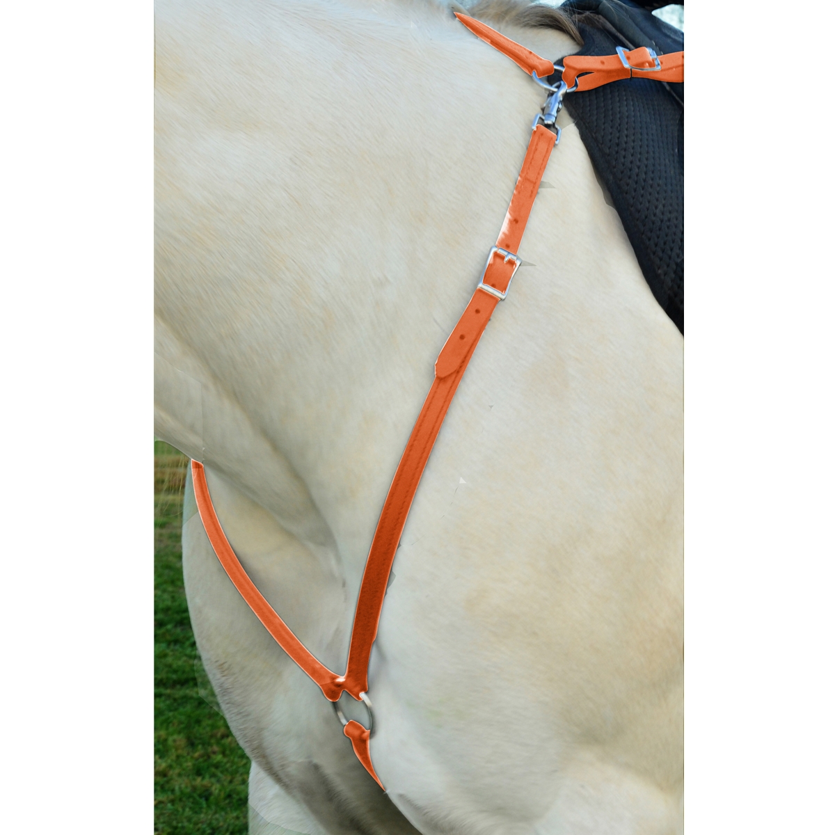 Buy Online Dog Leash Made From Beta Biothane Two Horse Tack