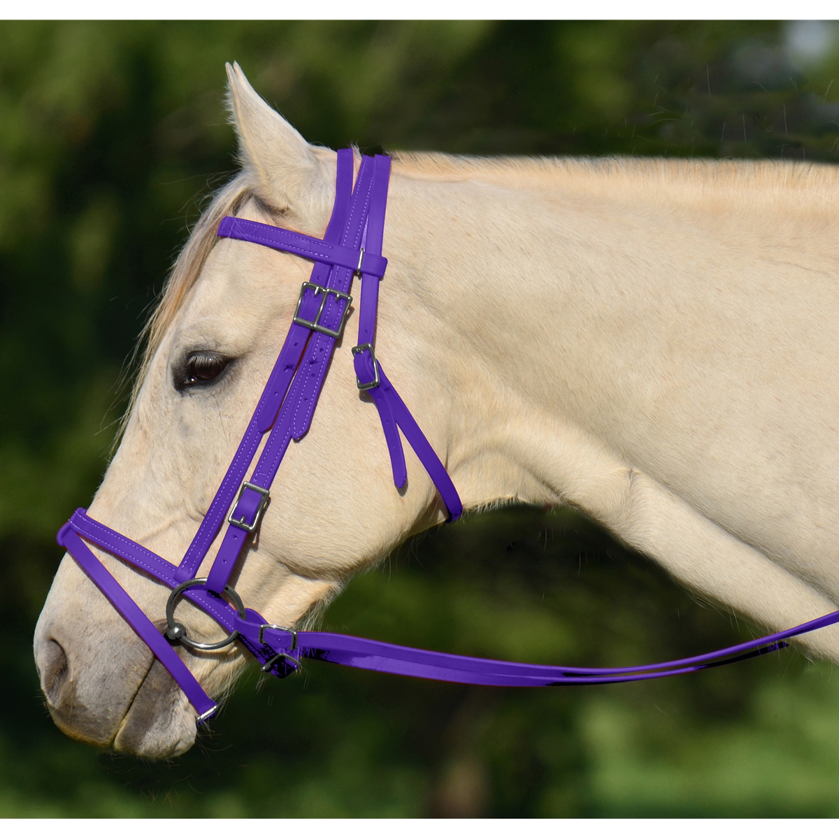 Two Horse Tack's Purple English Bridle with Cavessons