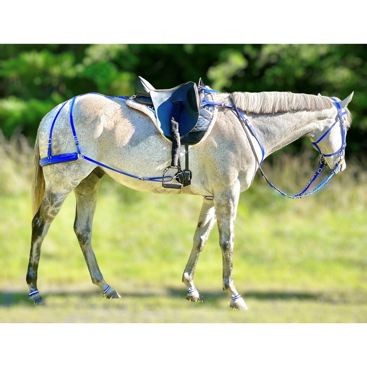 Save Money and Order a Bridle and Breast Collar Saddle Breeching Leg Band  Tack Set - Two Horse Tack
