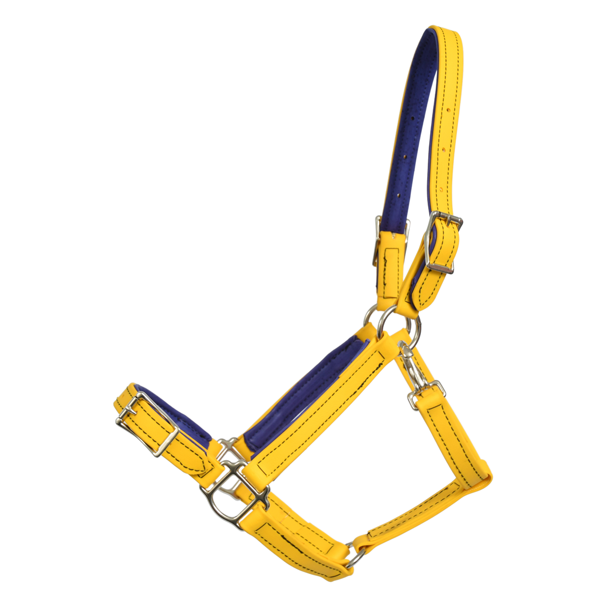 Buckle Nose Safety Halter & Lead