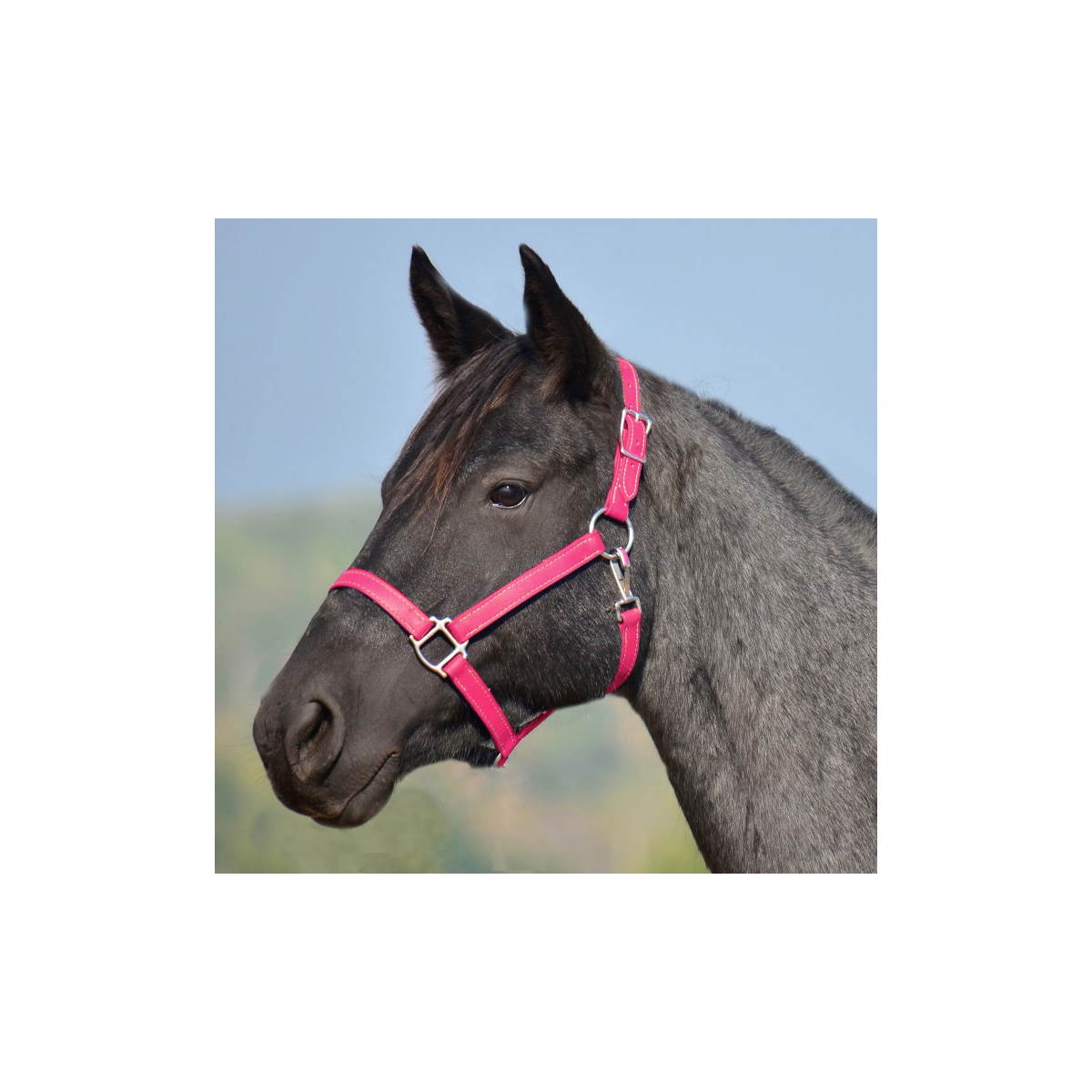 Pink Turnout Halter & Lead Two Horse Tack