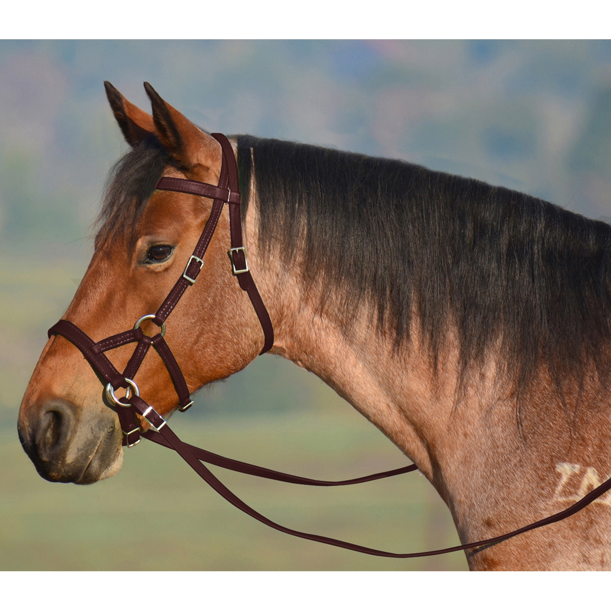Brown Sidepull Bitless Bridle Two Horse Tack