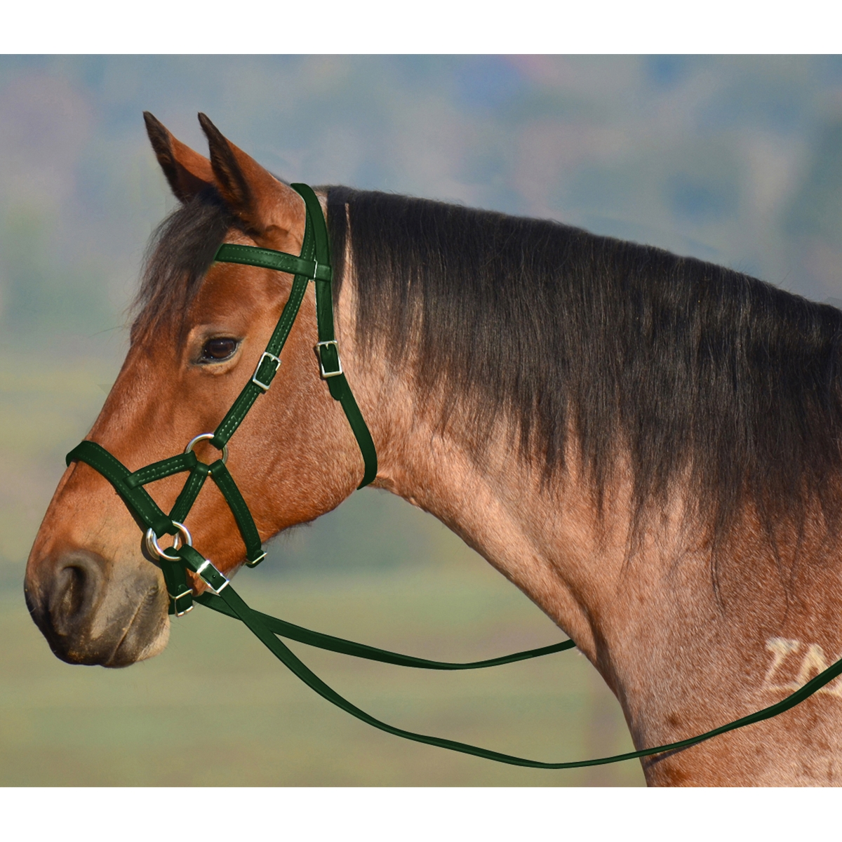 side pull hackamore attachment  hunter green.black or brown chinstrap 