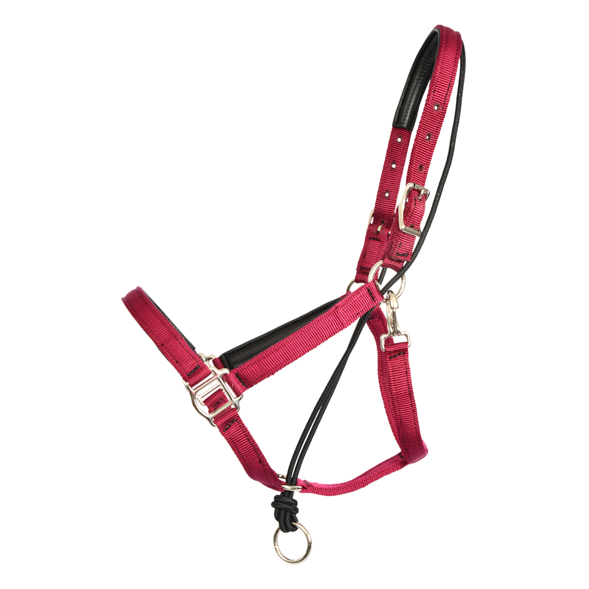 Pull Back Halter Made From Nylon - Two Horse Tack