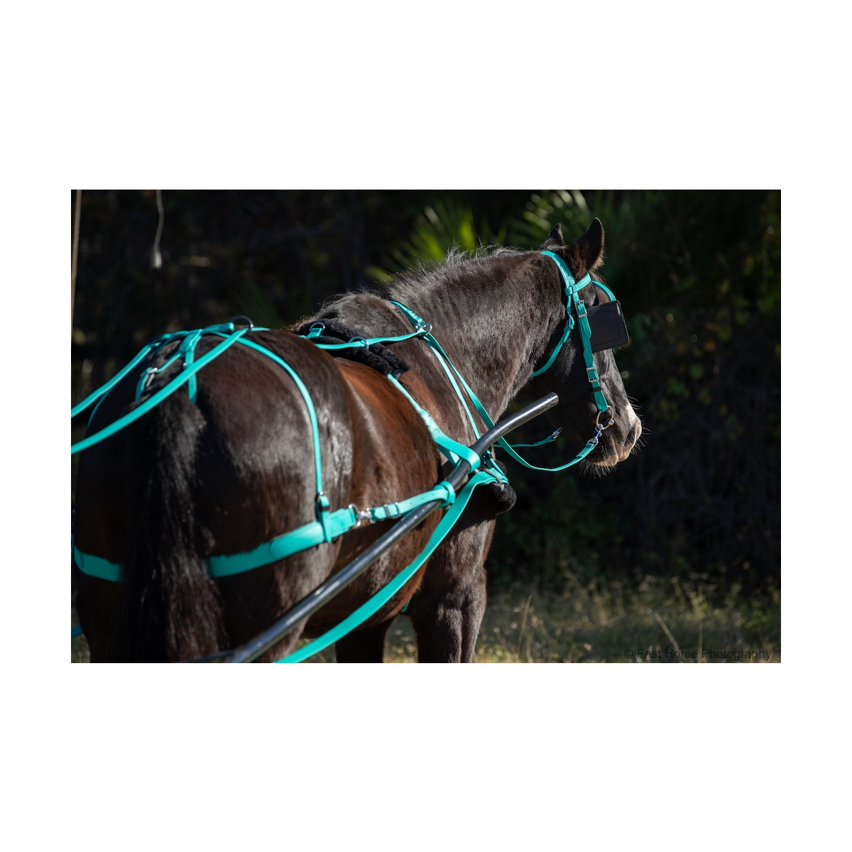 Horse Size Silver Spots Horse Show Leather Driving Harness 