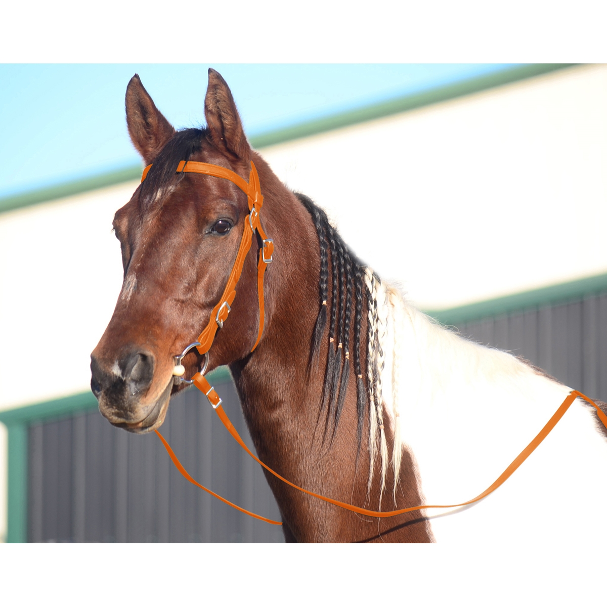 ORANGE Biothane Synthetic Western Bridle w Split Reins Cob Arab Small Horse 