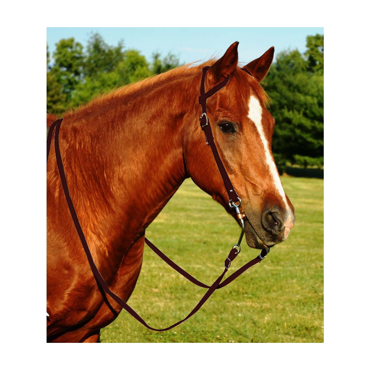 Get Brown One or Two Ear Western bridles For Sale Two Horse Tack