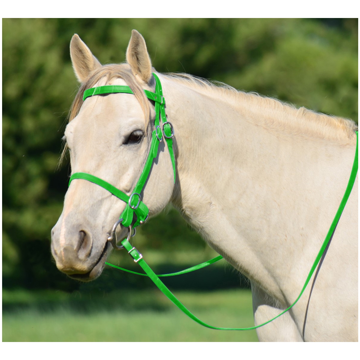 PONY NYLON BRIDLE - LIME GREEN €3.49 preparayeduca.com