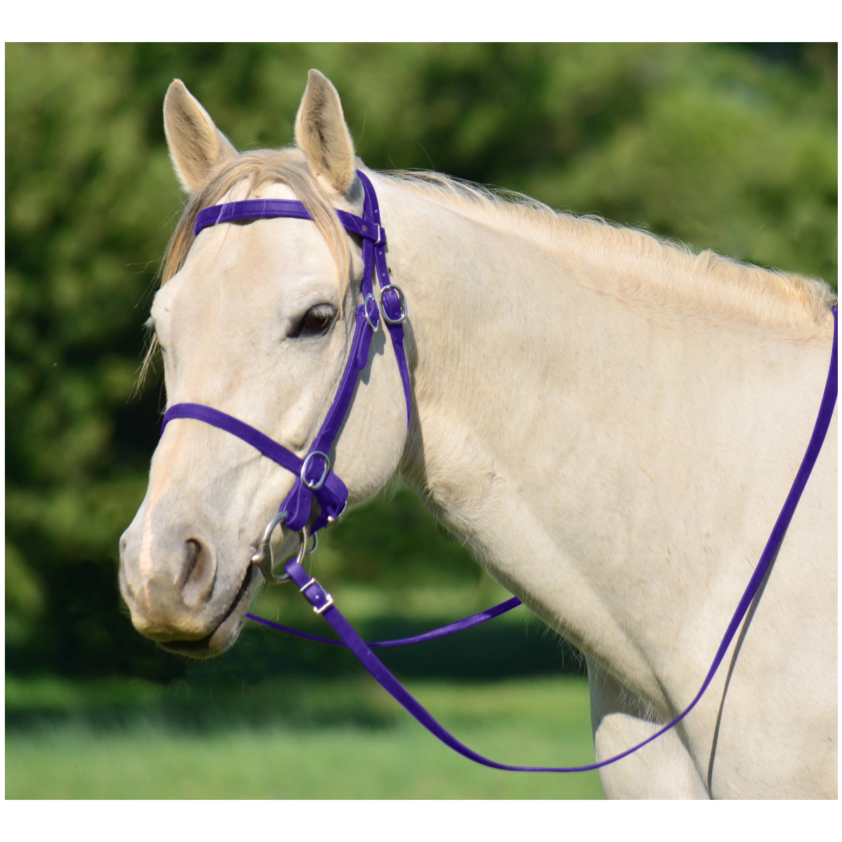 Purple Picnic Bridle Or Simple Halter Bridle Two Horse Tack